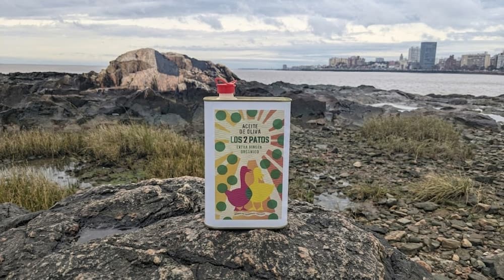 ¡Un hallazgo increíble en la costa! 🦆🦆